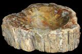 Colorful Polished Petrified Wood Dish - Madagascar #142804-2